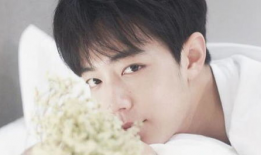 肖战王一博爆料吃瓜,揭秘娱乐圈背后的真实吃瓜故事